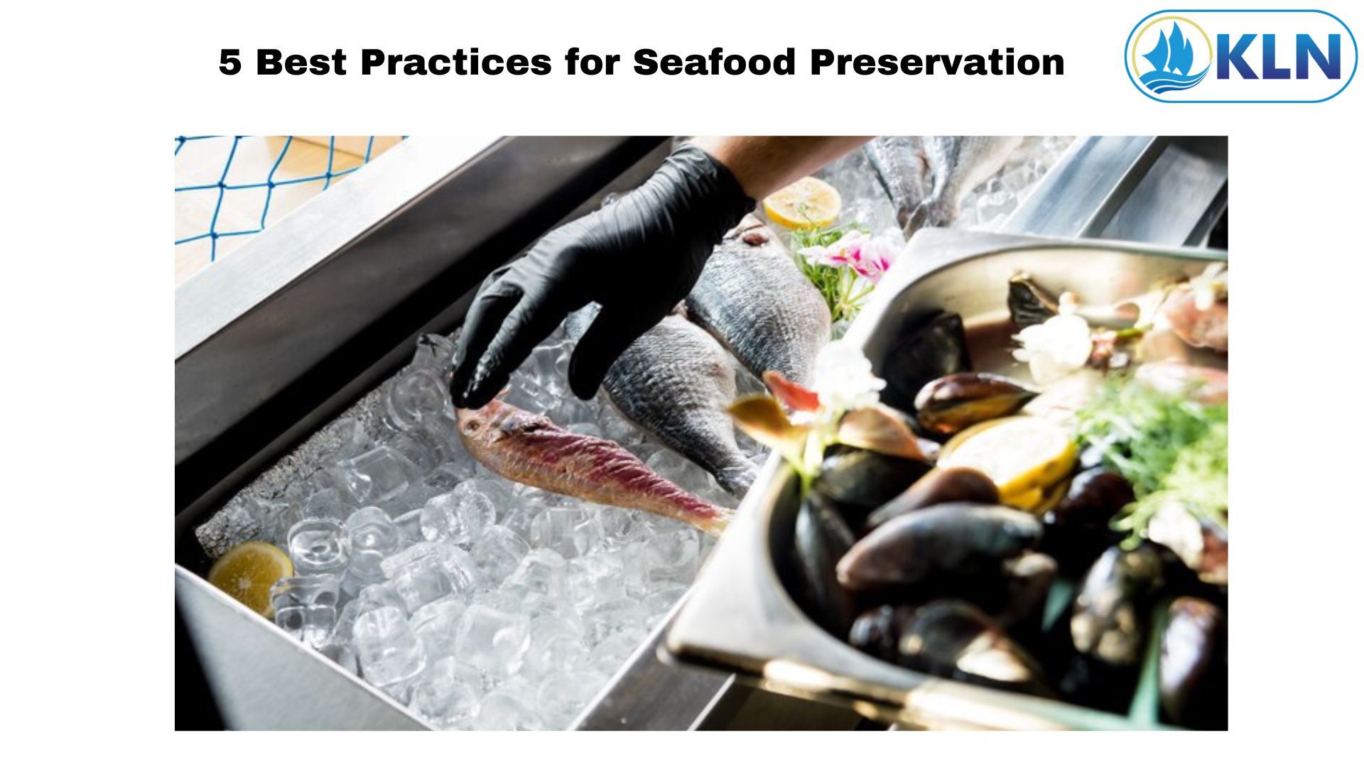 5 Best Practices for Seafood Preservation